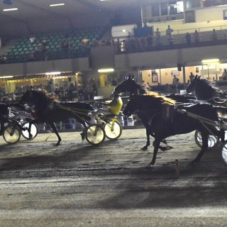 All'ippodromo di Vinovo  conto alla rovescia per il Gran Premio Marangoni