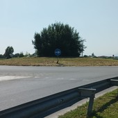 Erba alta alle rotonde di Osasco: dopo il trattore, entra in azione l’Anas