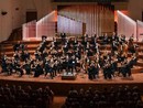 A Torino e Pinerolo i giovani talenti del percorso Professione Orchestra A Torino e Pinerolo i giovani talenti del percorso Professione Orchestra