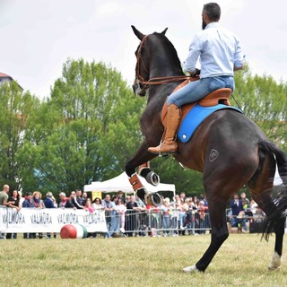 (Foto di Stefano Bricco)