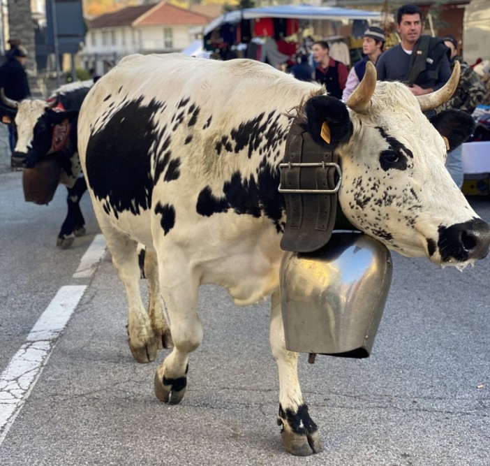 (Foto di repertorio)