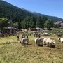 Pragelato è pronta per eleggere le nuove ‘Miss Mucca’ e ‘Miss Manza’