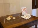 La mostra è stata allestita nei locali di Villa Prever