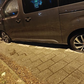 Tagliate le gomme al minibus elettrico dell’Ice Pole Pinerolo