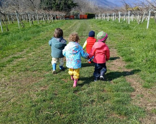 Bambini nei campi de Gli Gnomi dei Kiwi