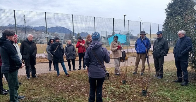 A Pinerolo si celebrano resistenza, speranza e rinnovamento con i ‘Giorni del Calicantus’