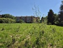 Il pericolo dell’estinzione e le storia di Umanimali al Bosco Urbano Partecipato di Pinerolo Il pericolo dell’estinzione e le storia di Umanimali al Bosco Urbano Partecipato di Pinerolo