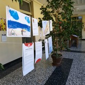 La mostra al primo piano del municipio La mostra al primo piano del municipio