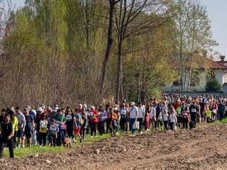 Il serpentone della camminata solidale