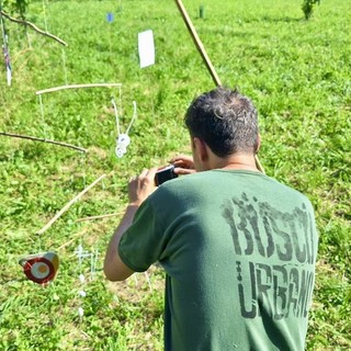 (Foto di repertorio)