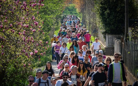 Il serpentone della camminata solidale