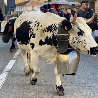 (Foto di repertorio)