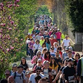 Il serpentone della camminata solidale