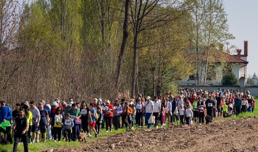 La Lions Walk è in marcia verso i mille iscritti La Lions Walk è in marcia verso i mille iscritti