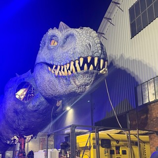 Il T-Rex curato nel capannone di Riva