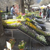 (Foto di repertorio)