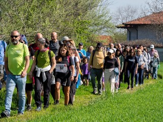 Il serpentone della camminata solidale