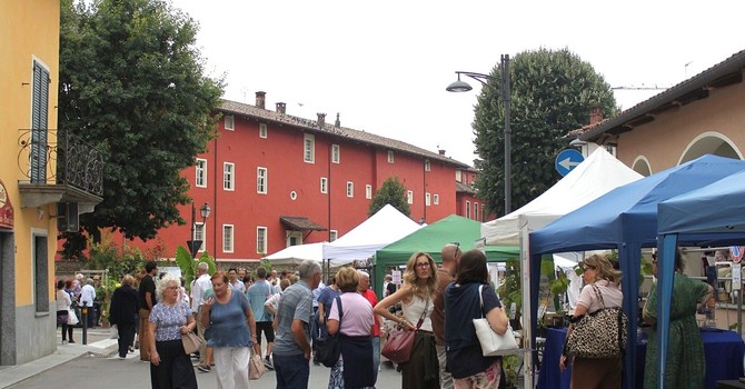 Accolti nel Villaggio delle Erbe: Pancalieri celebra la menta e la sua identità agricola Accolti nel Villaggio delle Erbe: Pancalieri celebra la menta e la sua identità agricola
