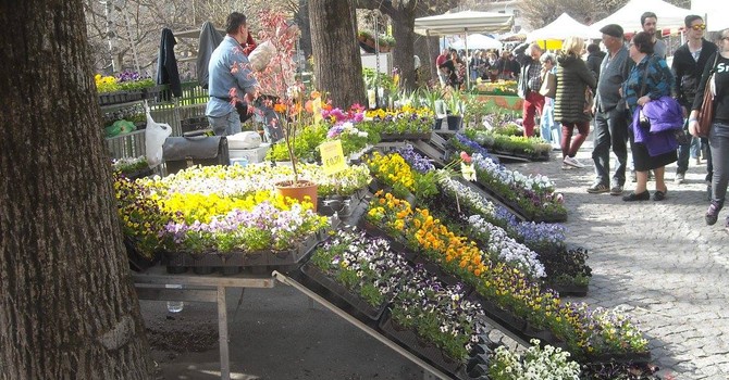 (Foto di repertorio)