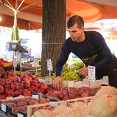 Matteo Giordano nel suo banco