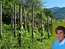 Moreno Soster e la sua vigna