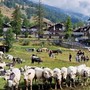 Due giorni per Miss Mucca e Miss Manza, elette tra gli applausi a Pragelato Due giorni per Miss Mucca e Miss Manza, elette tra gli applausi a Pragelato