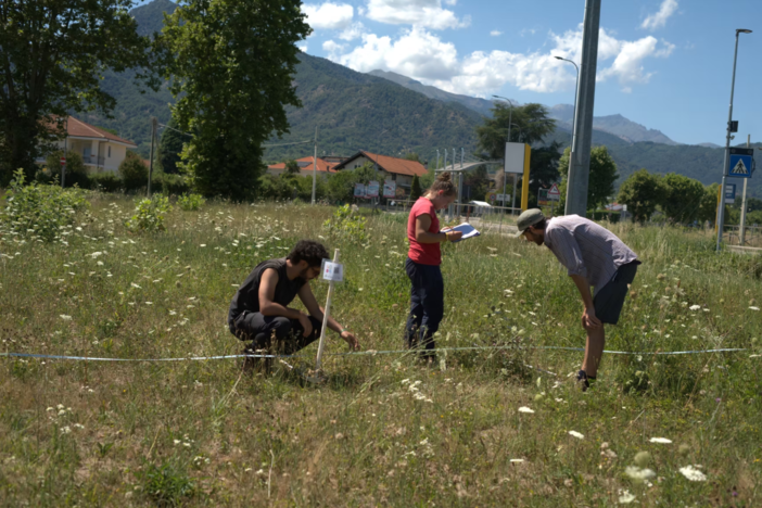 Un monitoraggio entomologico
