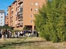 Il Bosco Urbano Partecipato si popolerà di spettacoli e di storie