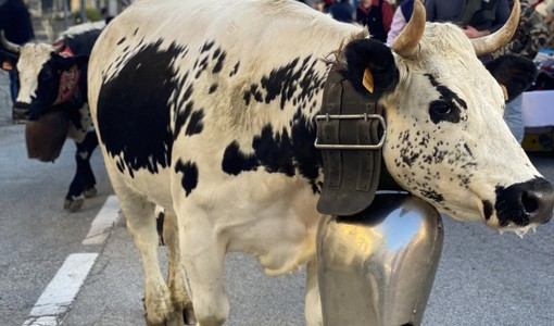 (Foto di repertorio)