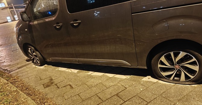 Tagliate le gomme al minibus elettrico dell’Ice Pole Pinerolo