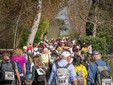 Il serpentone della camminata solidale