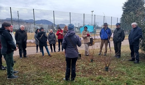 A Pinerolo si celebrano resistenza, speranza e rinnovamento con i ‘Giorni del Calicantus’