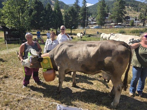 La cinquina del Grand Puy a Miss Mucca a Pragelato La cinquina del Grand Puy a Miss Mucca a Pragelato