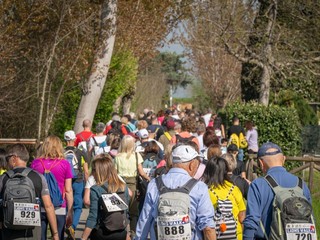 Il serpentone della camminata solidale