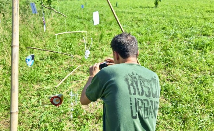 (Foto di repertorio)