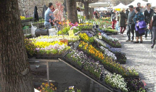 (Foto di repertorio)