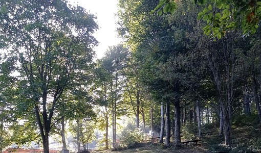 La zona di via Fornaci, vicina al Koliba