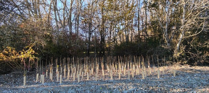 Immagine di repertorio