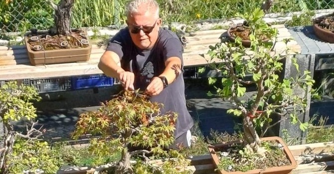 Nicola Scarafia con i suoi bonsai