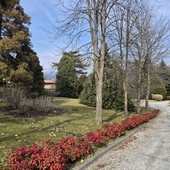 Uno scorcio del parco di Villa Widemann
