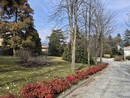 Uno scorcio del parco di Villa Widemann