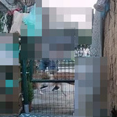 Le immagini delle telecamere la mattina prima del fatto Le immagini delle telecamere la mattina prima del fatto
