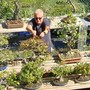 Nicola Scarafia con i suoi bonsai