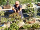 Nicola Scarafia con i suoi bonsai