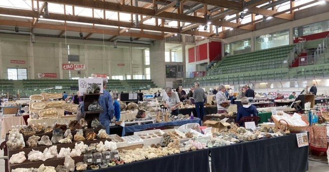 (Foto di repertorio) (Foto di repertorio)