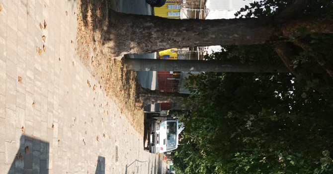 Viale Mazzini