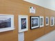 La mostra che verrà inaugurata