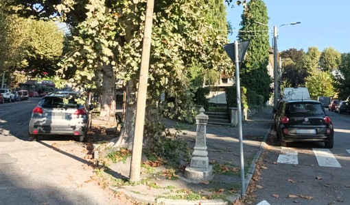 Un’asta per riqualificare il giardino della stazione di Torre Pellice