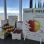 Il tempo di Tuttomele: Cavour si prepara per la 46esima edizione della Fiera Nazionale [VIDEO]