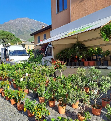 Centro storico di Torre Pellice in festa con la rassegna ‘Fiori &amp; Sapori’